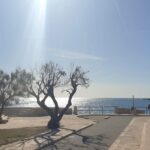 Monopoles de Cala Porto Rosso (6)