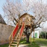 Almond Tree Trullo