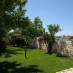Almond Tree Trullo